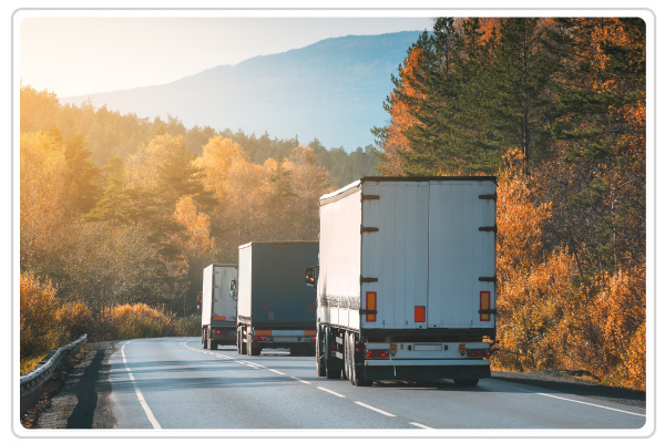 Forecasting demand and planning cargo space in seasonal chaos